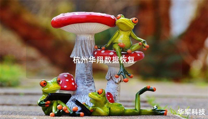 杭州华翔数据恢复 杭州华翔数据恢复