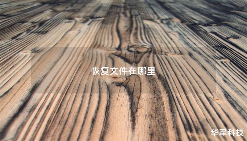 恢复文件在哪里 恢复文件在哪里