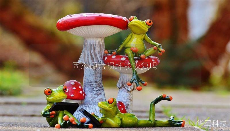 固态硬盘损坏能恢复吗 固态硬盘损坏能恢复吗