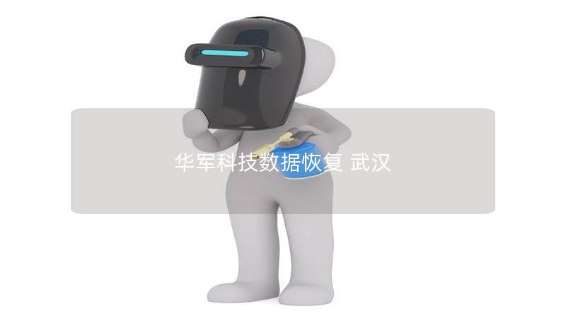 技王数据恢复 武汉 技王数据恢复 武汉