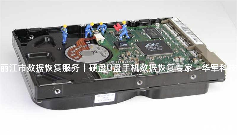 丽江市数据恢复服务|硬盘U盘手机数据恢复专家 - 技王 丽江市数据恢复服务|硬盘U盘手机数据恢复专家 - 技王