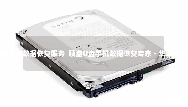 衡阳市数据恢复服务 硬盘U盘手机数据恢复专家 - 技王 衡阳市数据恢复服务 硬盘U盘手机数据恢复专家 - 技王