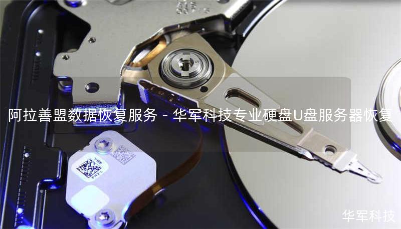 阿拉善盟数据恢复服务 - 技王专业硬盘U盘服务器恢复 阿拉善盟数据恢复服务 - 技王专业硬盘U盘服务器恢复