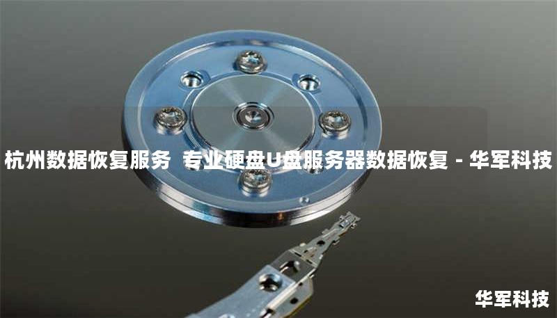 杭州数据恢复服务 专业硬盘U盘服务器数据恢复 - 技王 杭州数据恢复服务 专业硬盘U盘服务器数据恢复 - 技王