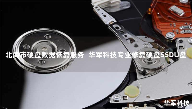北海市硬盘数据恢复服务 技王专业修复硬盘SSDU盘 北海市硬盘数据恢复服务 技王专业修复硬盘SSDU盘