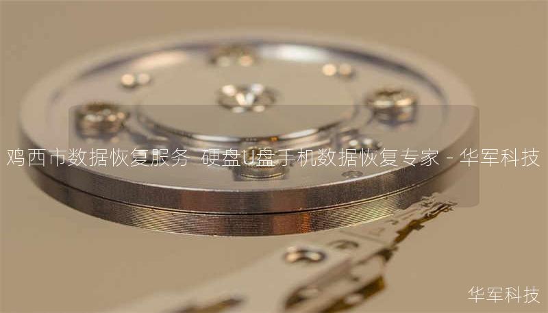 鸡西市数据恢复服务 硬盘U盘手机数据恢复专家 - 技王 鸡西市数据恢复服务 硬盘U盘手机数据恢复专家 - 技王