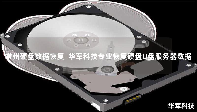 常州硬盘数据恢复 技王专业恢复硬盘U盘服务器数据 常州硬盘数据恢复 技王专业恢复硬盘U盘服务器数据