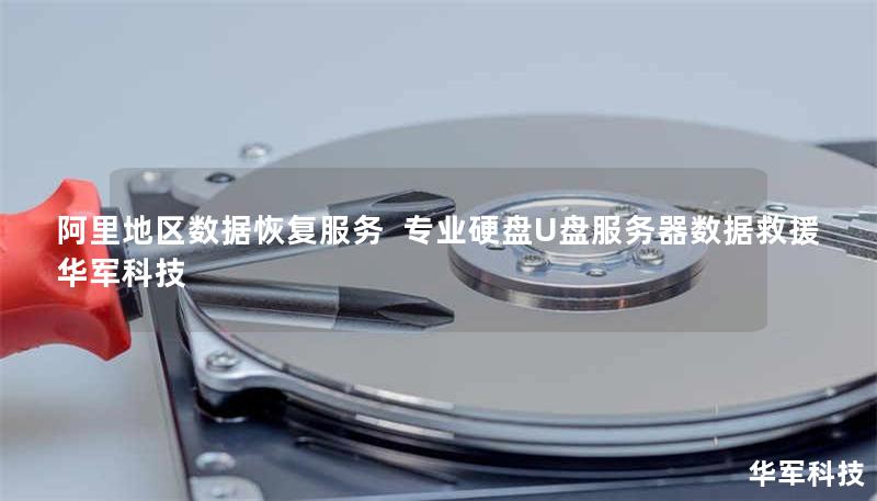 阿里地区数据恢复服务 专业硬盘U盘服务器数据救援 技王 阿里地区数据恢复服务 专业硬盘U盘服务器数据救援 技王