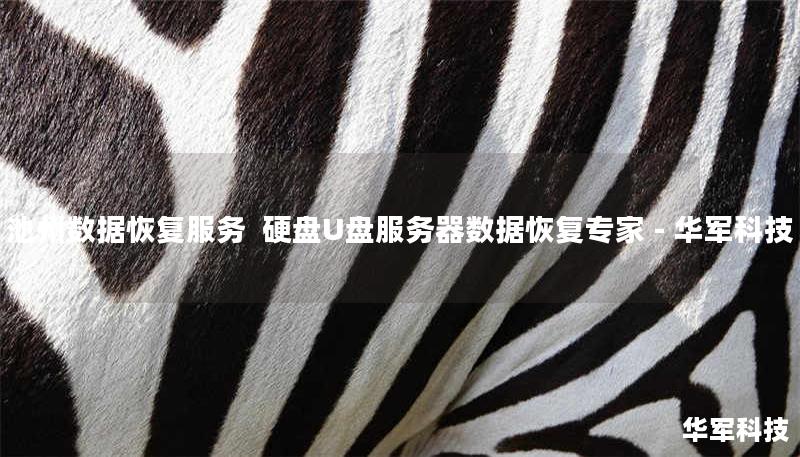 池州数据恢复服务 硬盘U盘服务器数据恢复专家 - 技王 池州数据恢复服务 硬盘U盘服务器数据恢复专家 - 技王