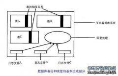 恢复操作类型 正像一些常见的备份操作，也存在一些常见的恢复操作，存储和网络管理员应该对它们最为熟悉。大部分备份操作都是自动执行，无须照管，而恢复操作却不同，经常是手